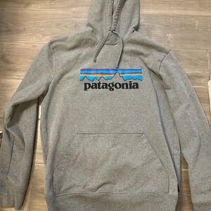 Patagonia M Gray regular fit hoodie